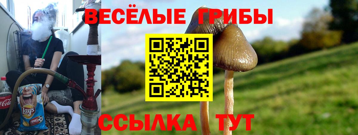 Галлюциногенные грибы MAGIC MUSHROOMS  Вход с VPN  наркотики  Арсеньев 